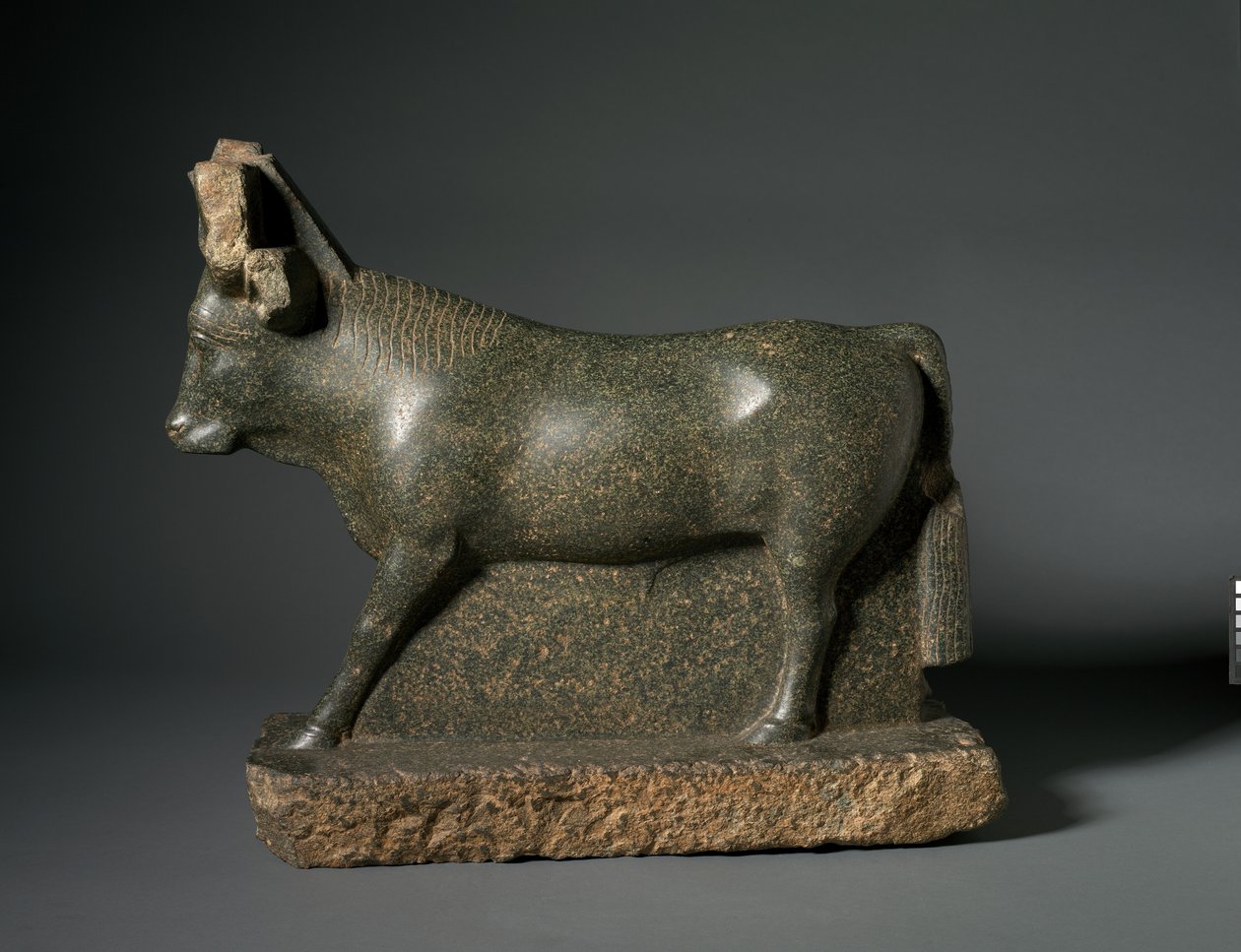 Apis Bull，公元前400至100年（蛇纹石） 作者 埃及托勒密时期