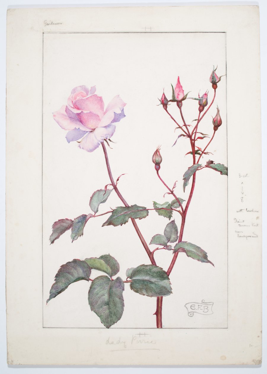 皮尔丽玫瑰夫人，约 1909 年（木板上的水彩和石墨） 作者 埃莉诺 Fortescue-Brickdale