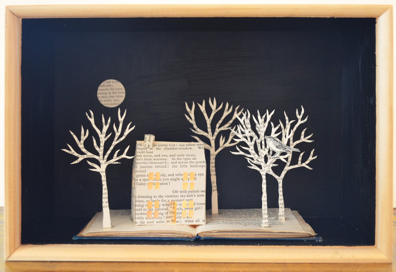 平房灯箱，2012 年（混合媒介） 作者 埃莉诺·格拉夫顿