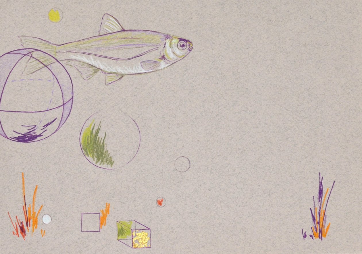 漂浮，2014（纸上水彩笔和金箔） 作者 埃莉诺·格拉夫顿