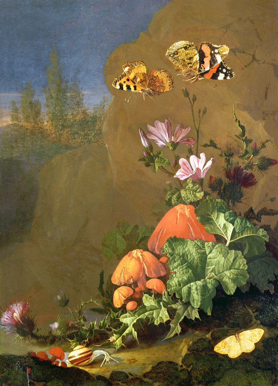 森林地板静物画与花，蘑菇和蜗牛的 作者 埃利亚斯·范登布罗克
