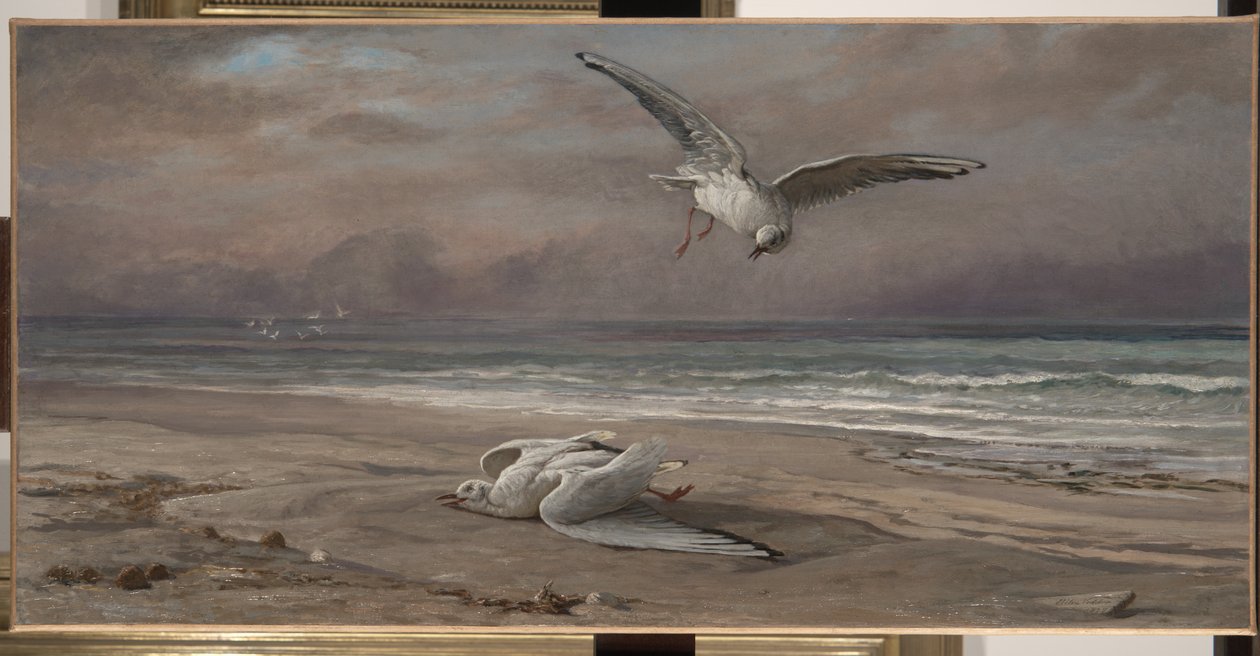垂死的海鸥，1879年 作者 伊莱休·维德