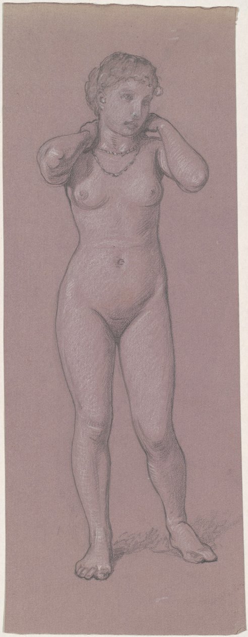 带项链的女性裸体，19世纪70年代至80年代。 作者 伊莱休·维德