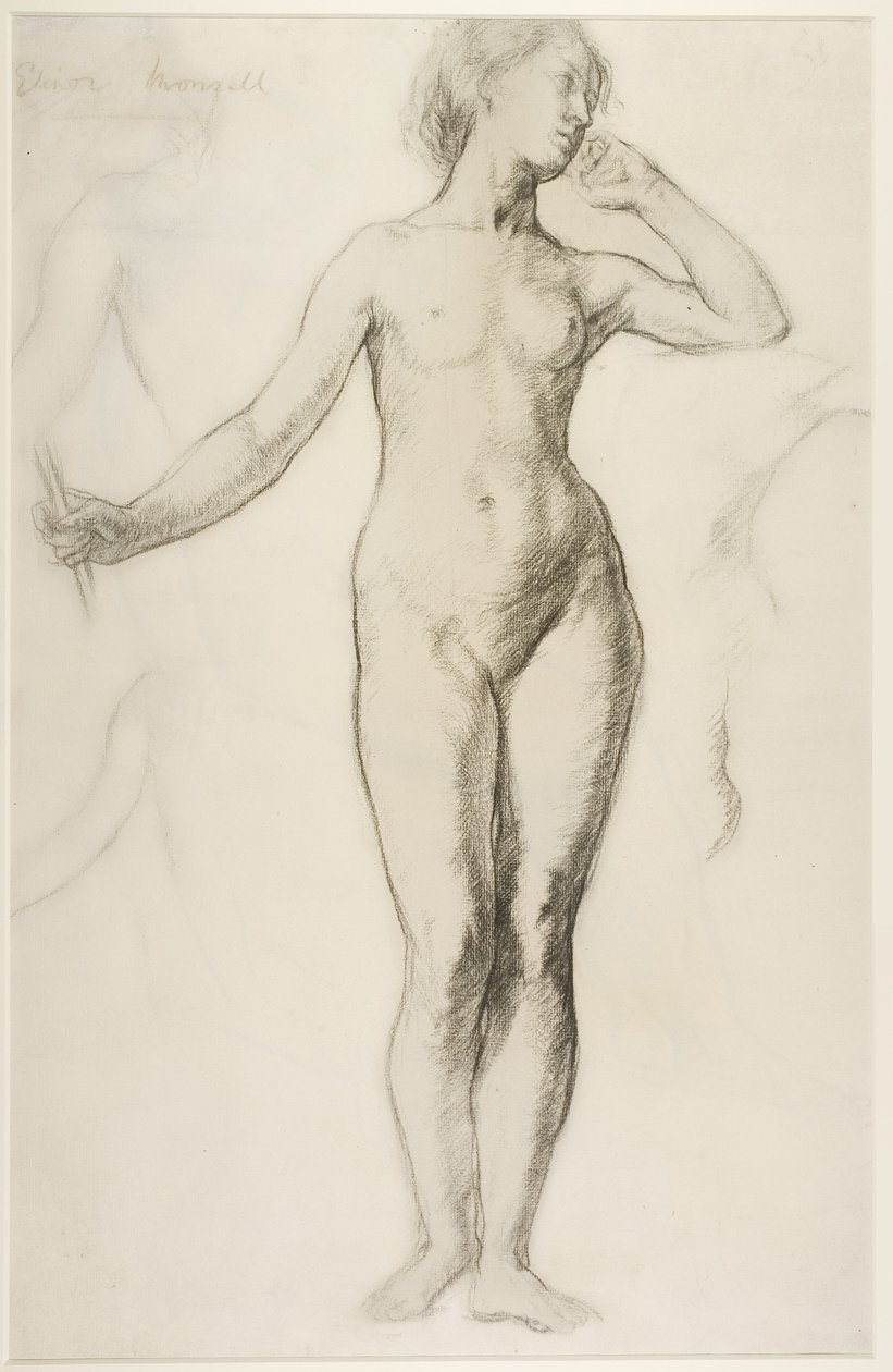 女性裸体站立，c.1897（粉笔在纸上） 作者 埃莉诺·玛丽·达尔文