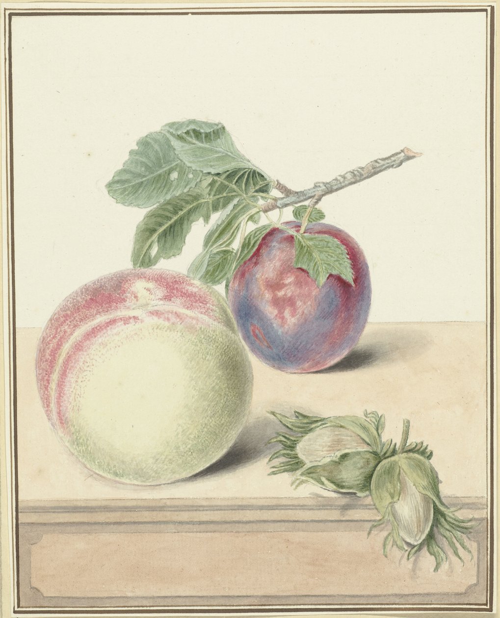 桃子、带叶子的李子和一些坚果 作者 Elisabeth Geertruida van de Kasteele