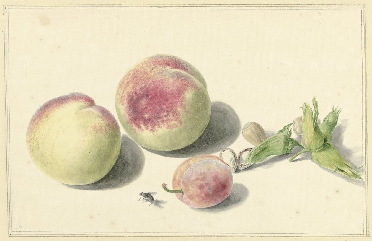 桃子、坚果、李子和苍蝇 作者 Elisabeth Geertruida van de Kasteele