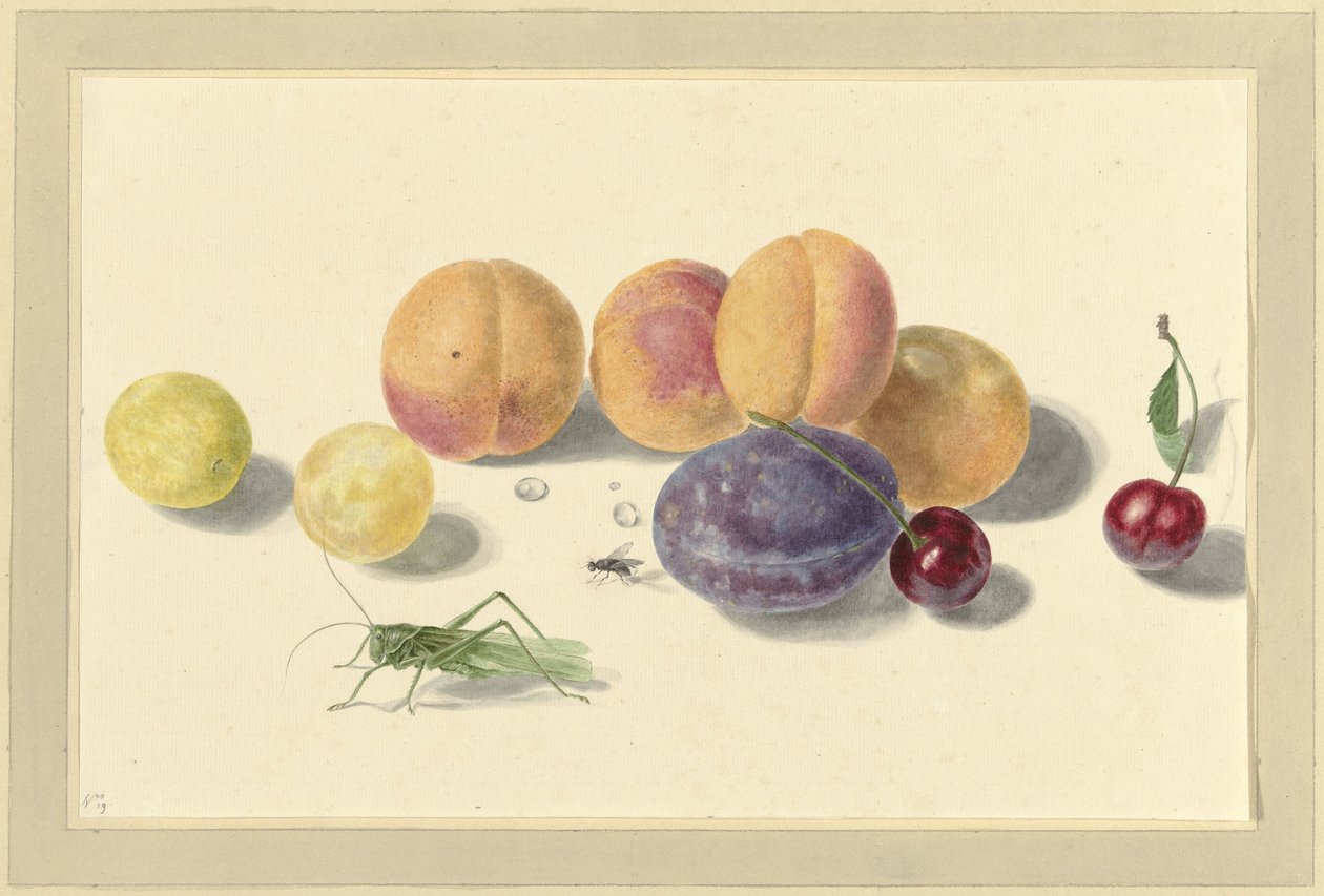 桃子、李子、樱桃和两只昆虫 作者 Elisabeth Geertruida van de Kasteele