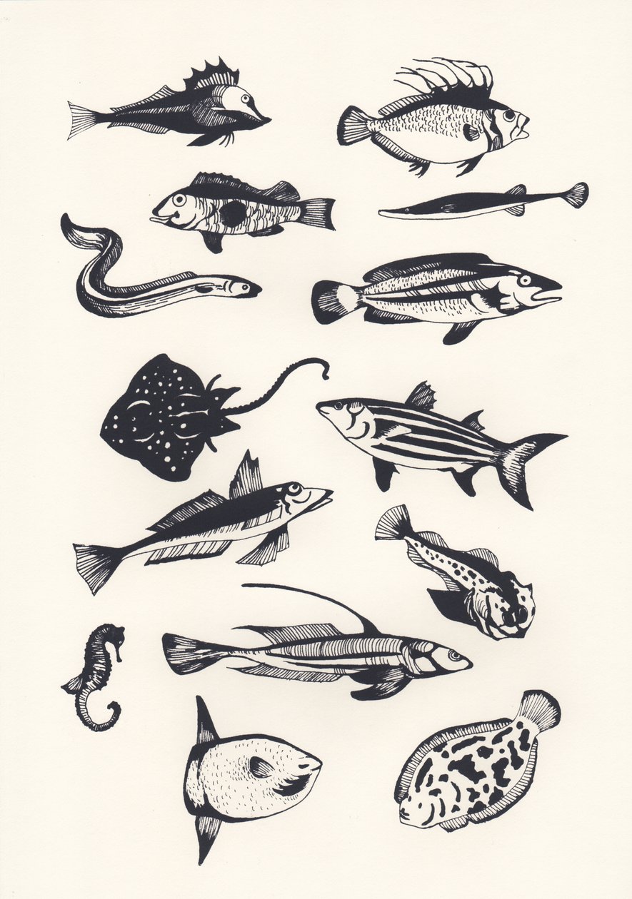 Monotone Plain Fish，2015（丝网印刷） 作者 伊丽莎·索思伍德（Eliza Southwood）