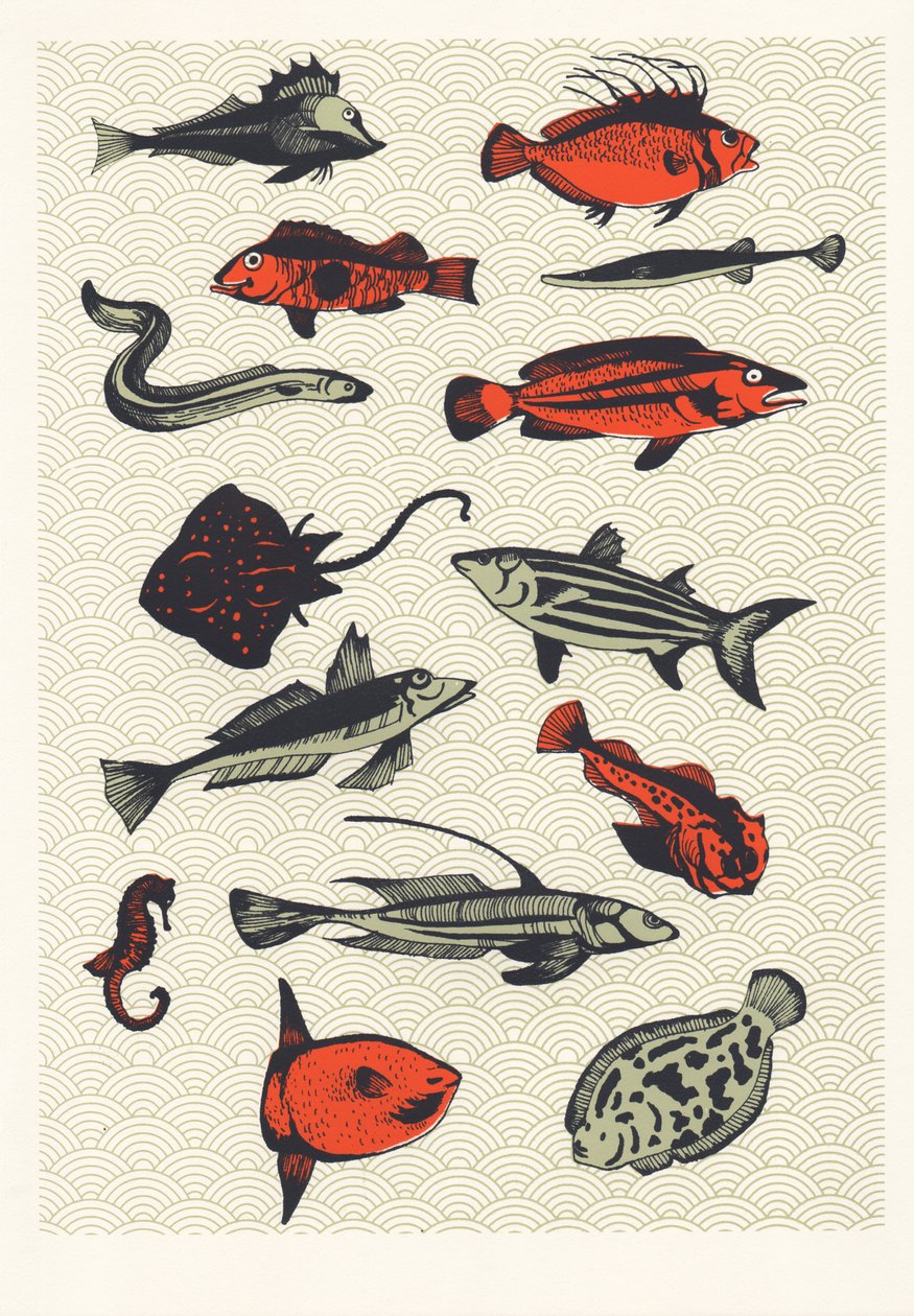 Orange Japanese Fish, 2015 (screenprint) 作者 伊丽莎·索思伍德（Eliza Southwood）