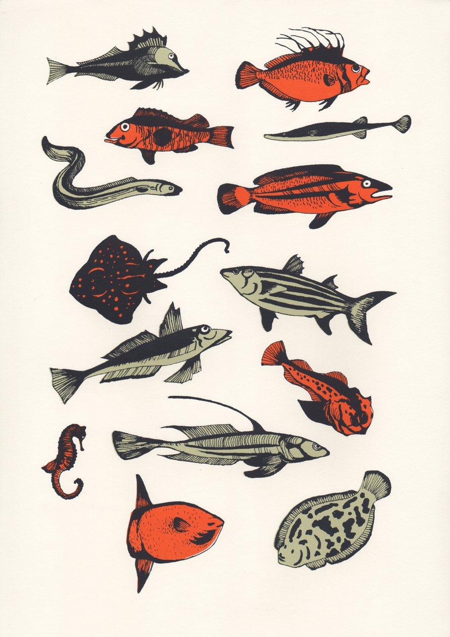 Orange Plain Fish, 2016 (Screenprint) 作者 伊丽莎·索思伍德（Eliza Southwood）