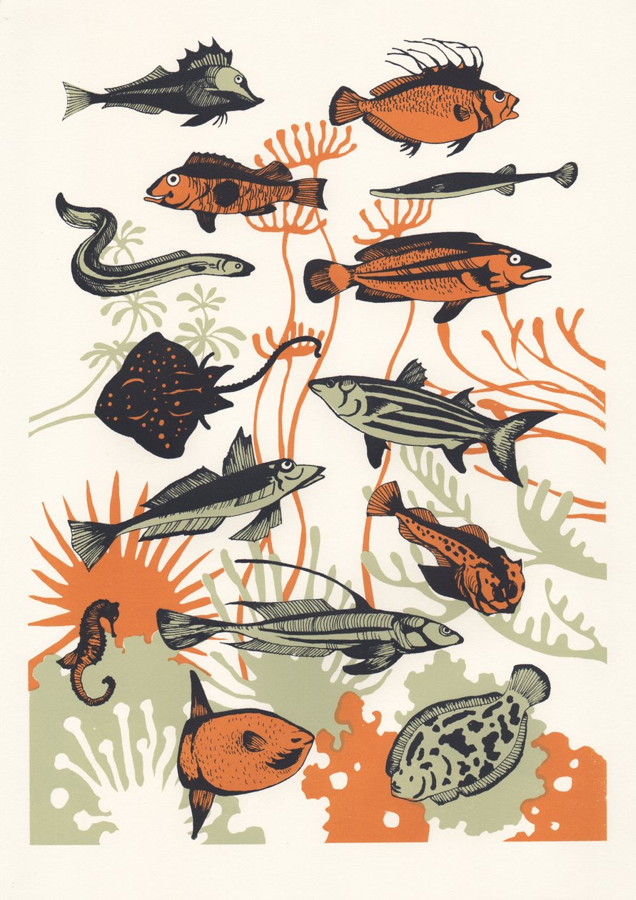 橙色海藻鱼，2015（丝网印刷） 作者 伊丽莎·索思伍德（Eliza Southwood）