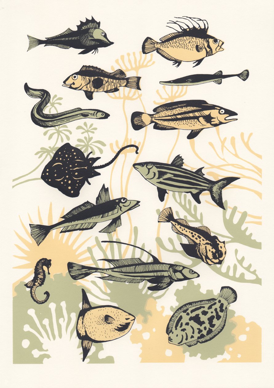Peach Seaweed Fish, 2015 (screenprint) 作者 伊丽莎·索思伍德（Eliza Southwood）