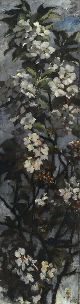 Apple Blossoms 作者 伊丽莎白·布特（Elizabeth Boott）