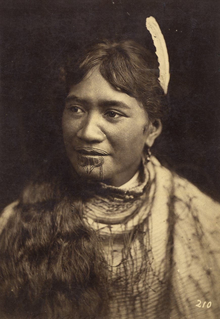 肖像，c.1875（蛋白打印） 作者 伊丽莎白·普尔曼（Elizabeth Pulman）
