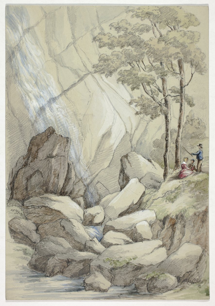 Powerscourt 瀑布 作者 伊丽莎白·默里