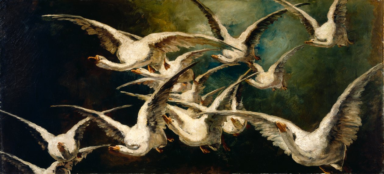 成群的鹅，约1883年。 作者 伊丽莎白·诺瑟斯