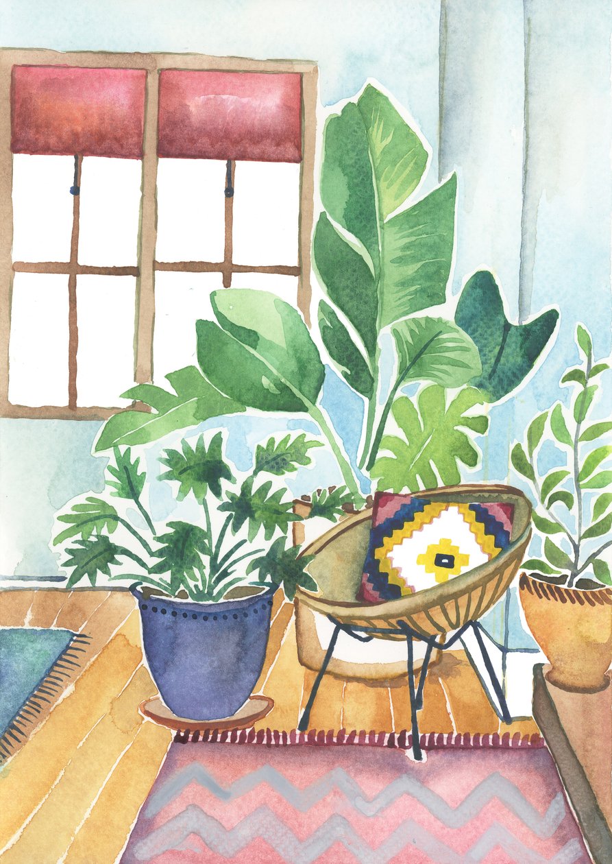 家庭植物，2018 年（水彩画） 作者 伊丽莎白·里德