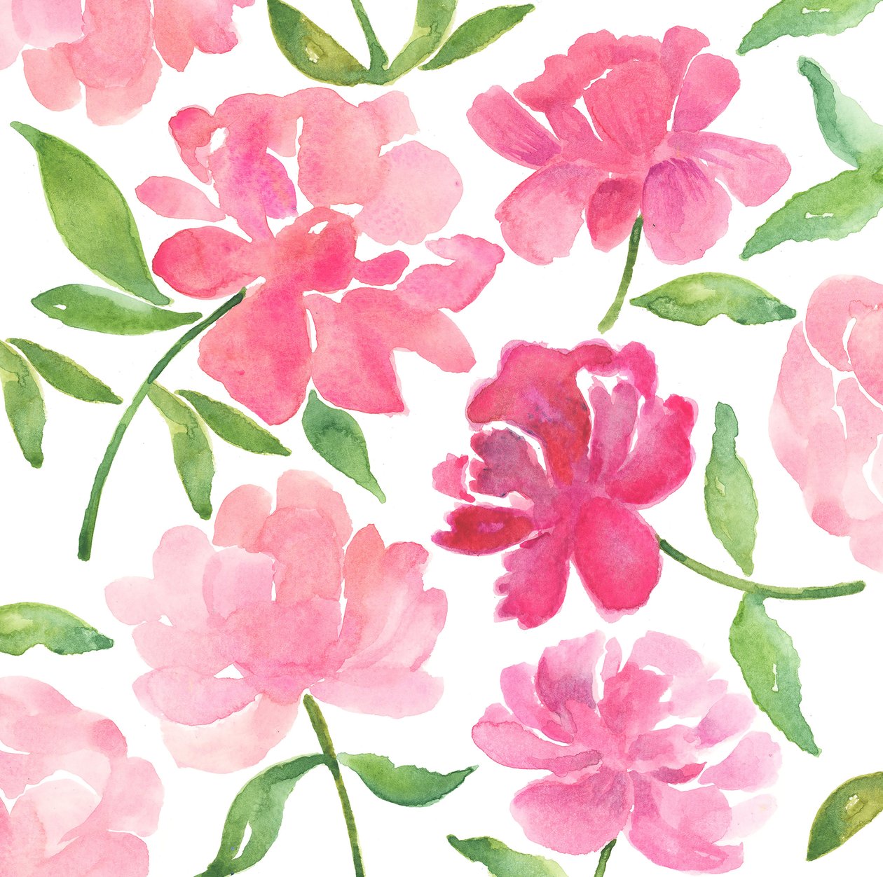 牡丹，2018（水彩画） 作者 伊丽莎白·里德