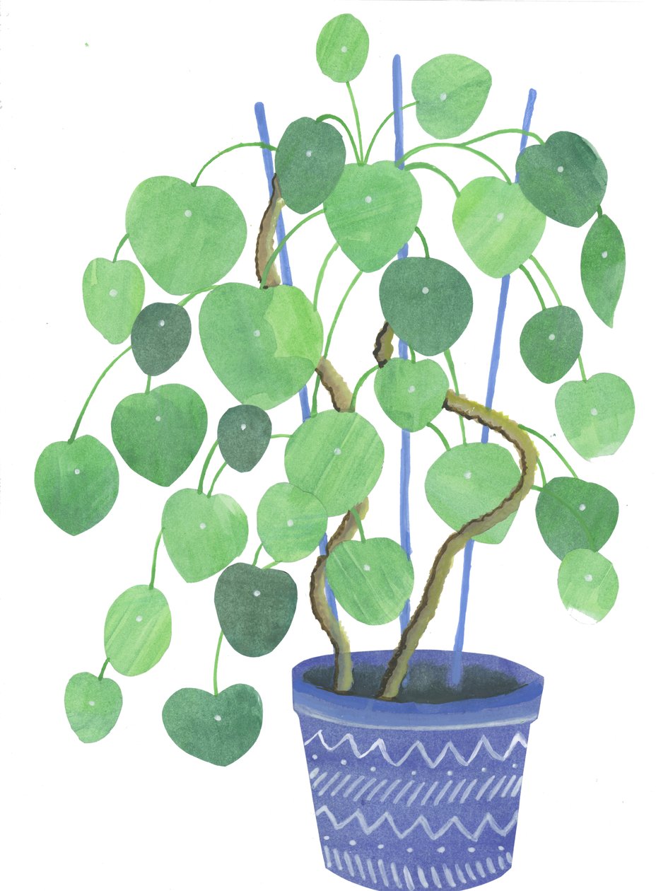 楹联植物，2017（水彩和拼贴画） 作者 伊丽莎白·里德