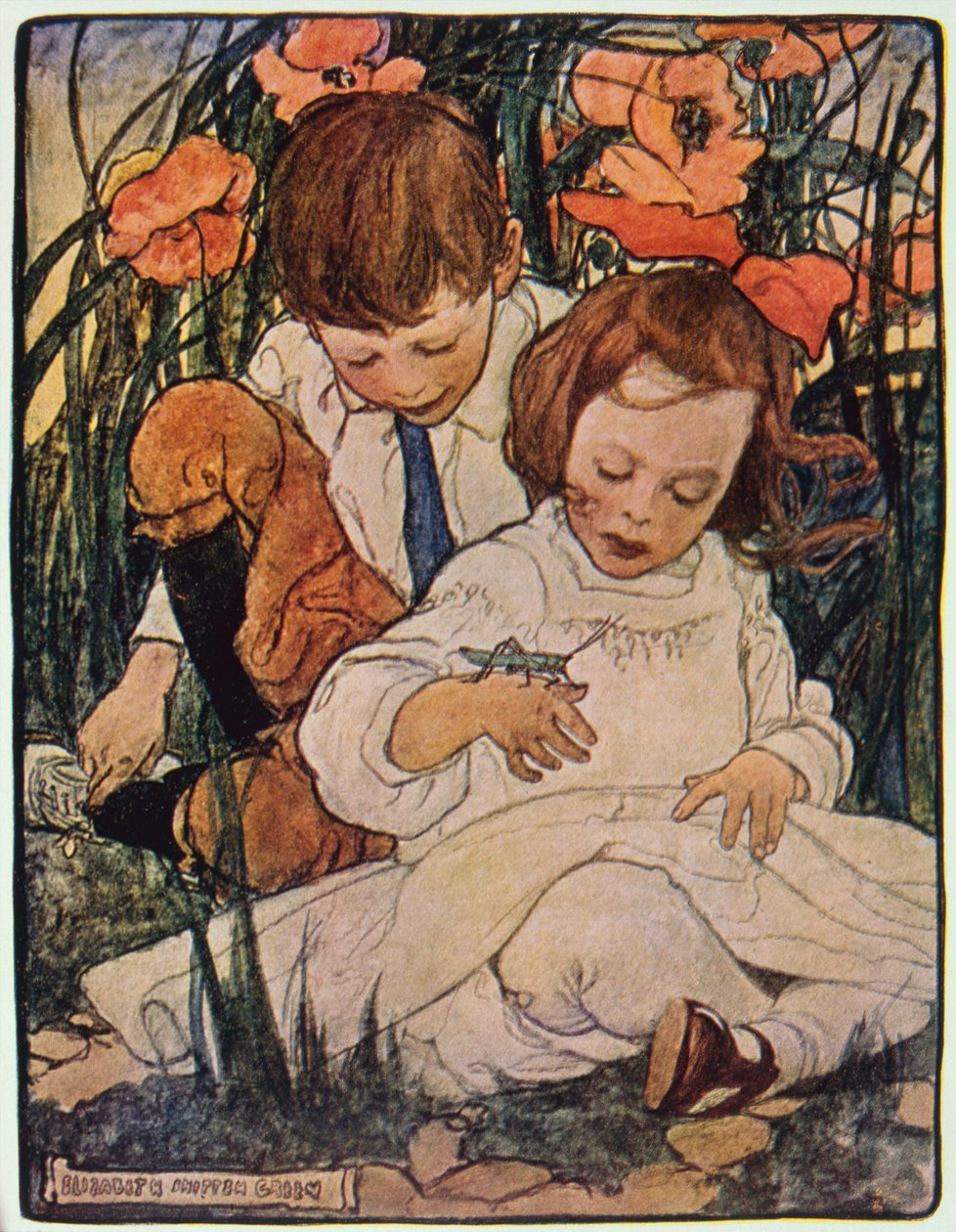 他对孩子们说："他们叫我蚱蜢辛巴达"，摘自《户外乐园》，D. Appleton  Co 出版，纽约和伦敦 作者 伊丽莎白·希彭·格林