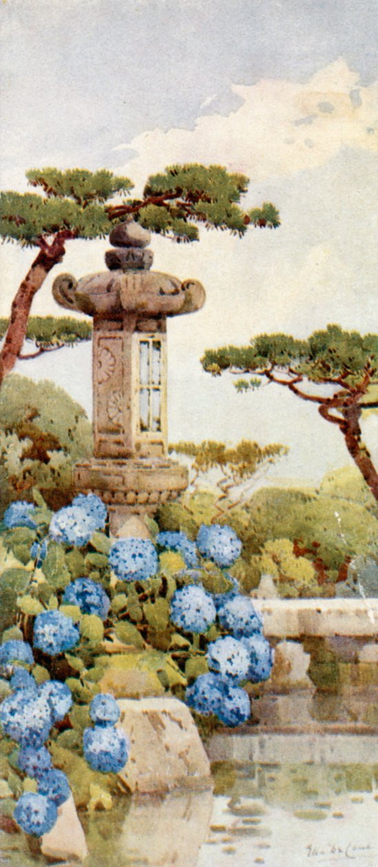 绣球花丛（彩色石版画） 作者 艾拉·杜甘蔗
