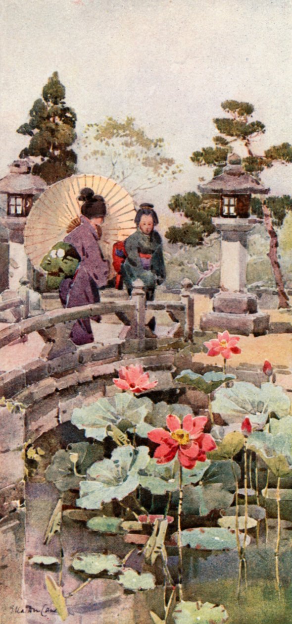 荷花（彩色平版） 作者 艾拉·杜甘蔗