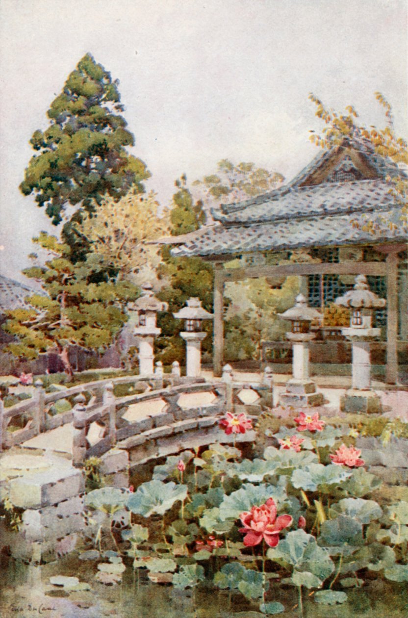京密津的莲花（彩色石版画） 作者 艾拉·杜甘蔗