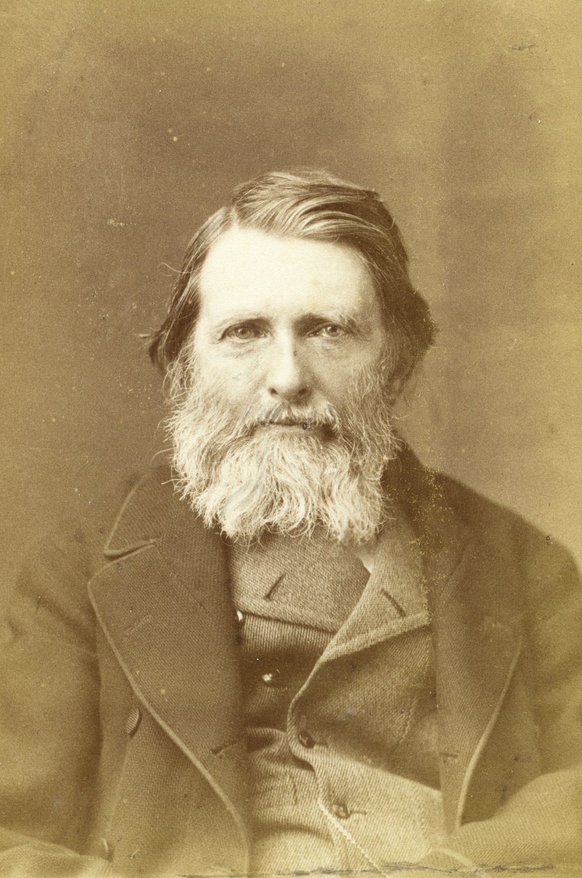 John Ruskin，1882年（蛋白印刷品） 作者 艾略特和弗莱工作室