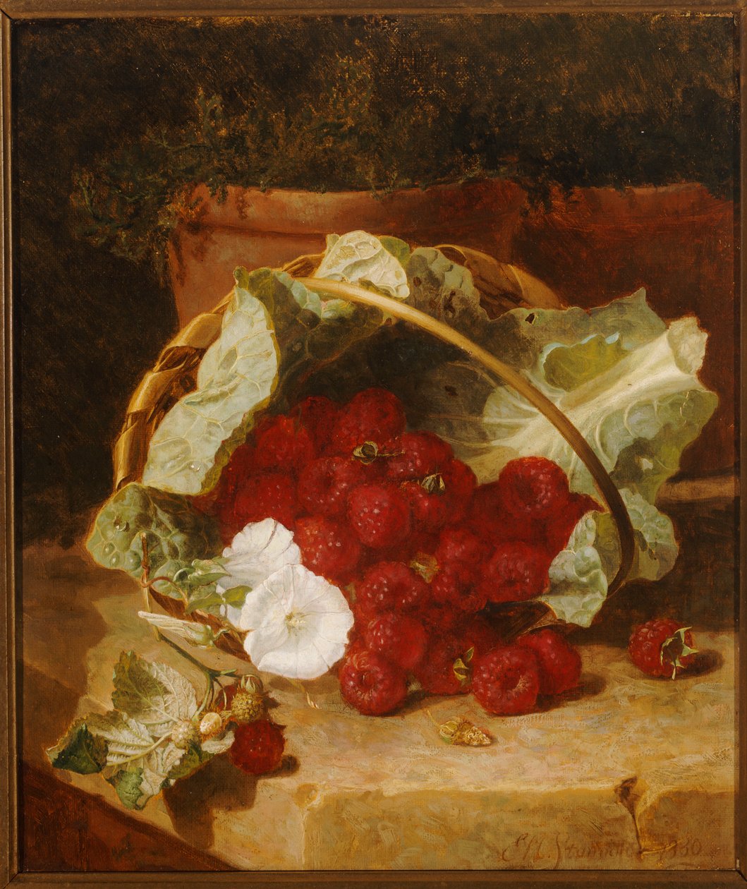 白菜叶内衬树莓篮子，在石壁架上有白色惊厥，1880年 作者 埃洛伊斯·哈丽特·斯坦纳德