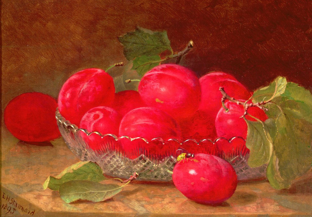 静物，1895年 作者 埃洛伊斯·哈丽特·斯坦纳德