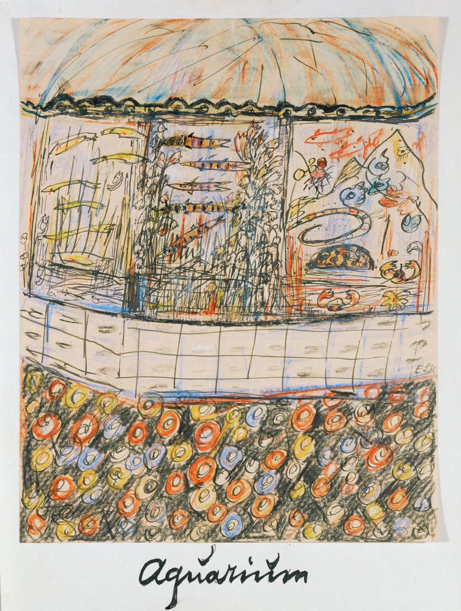  作者 拉斯克·舒勒