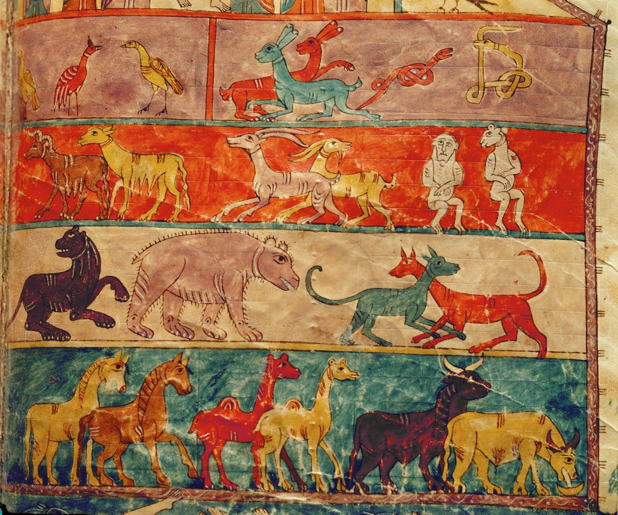 方舟内的动物 作者 