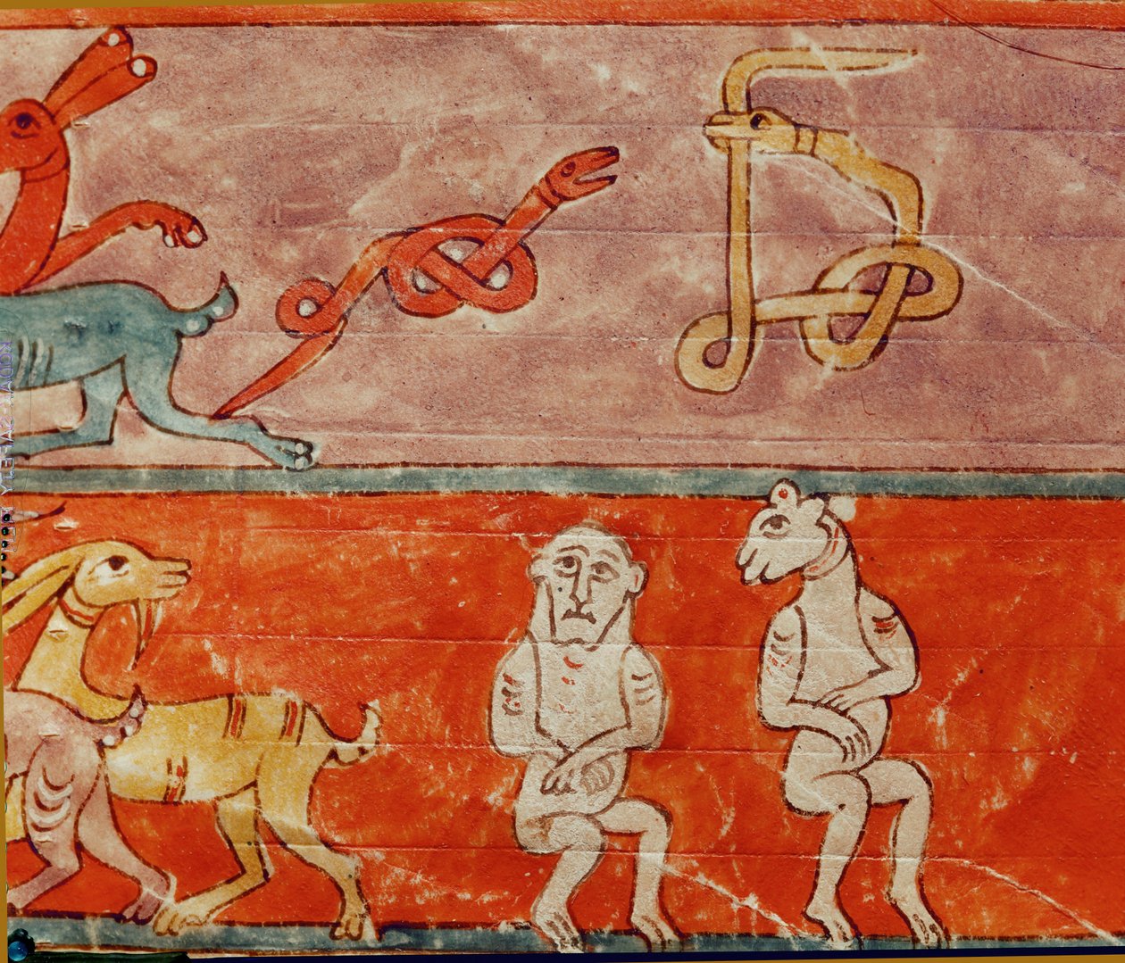 方舟内的动物 作者 