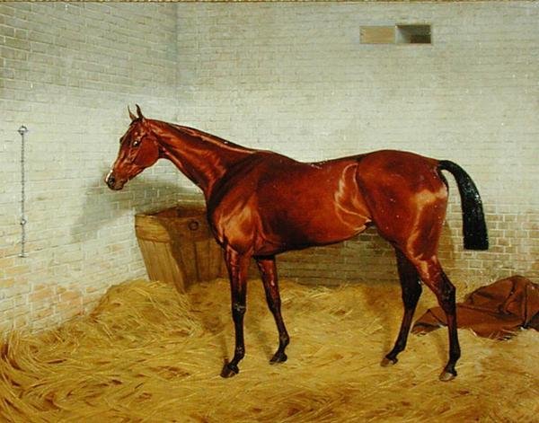 孤独"，1885年德比赛的冠军 作者 埃米尔·亚当
