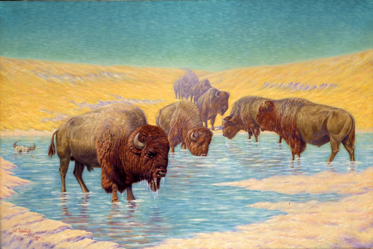 水牛城场景》，1922年。 作者 埃米尔·W·莱德斯