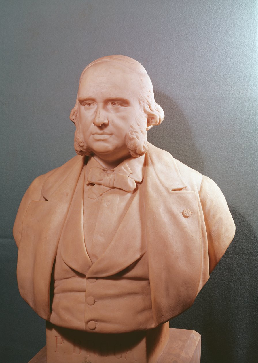 保罗布罗卡的半身像（1824-80）1881年 作者 埃米尔·亚瑟·索尔迪（Emile Arthur Soldi）或索尔迪·科尔伯特（Soldi Colbert）
