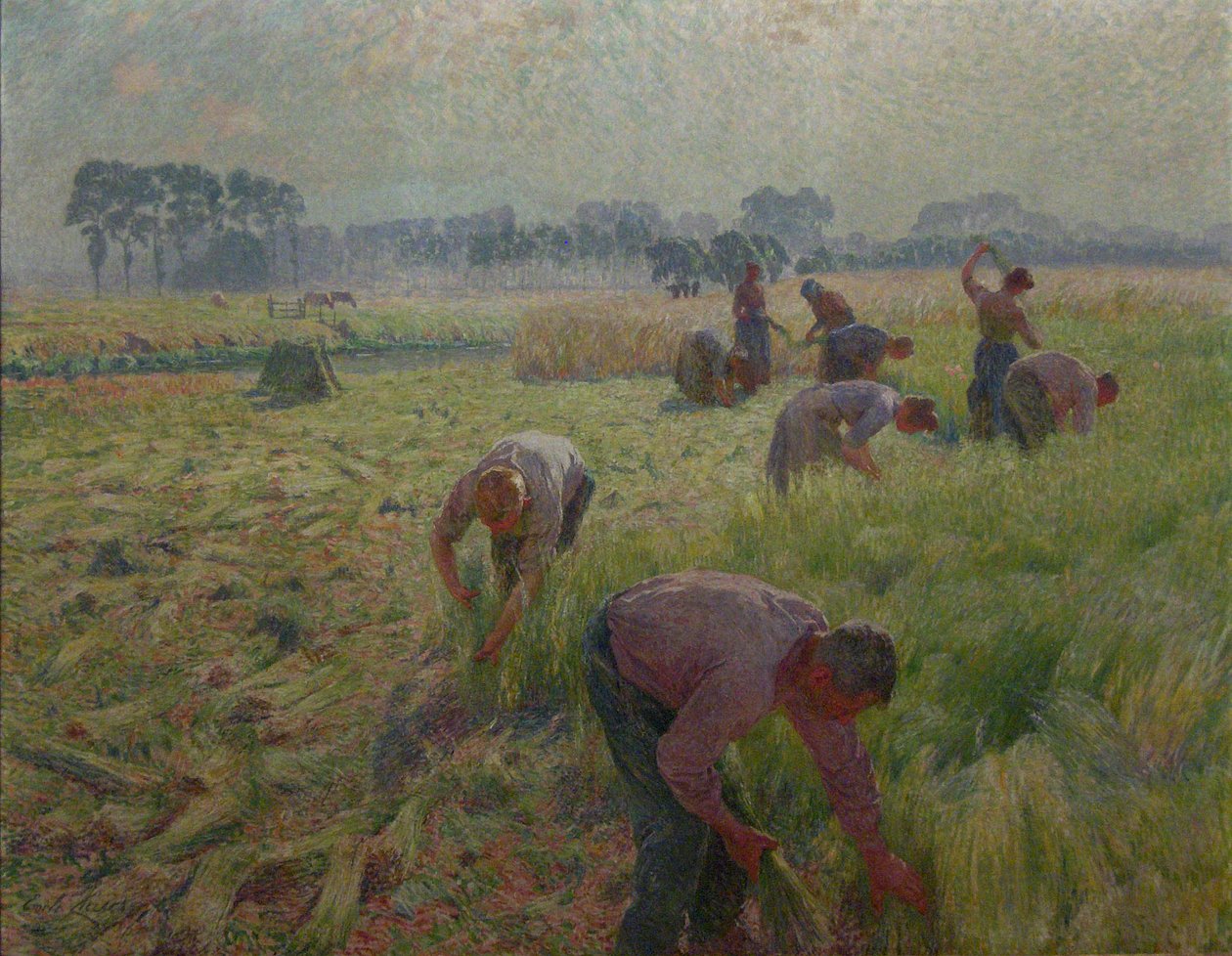 亚麻harvestnNederlands：De vlasoogstn 作者 埃米尔克劳斯