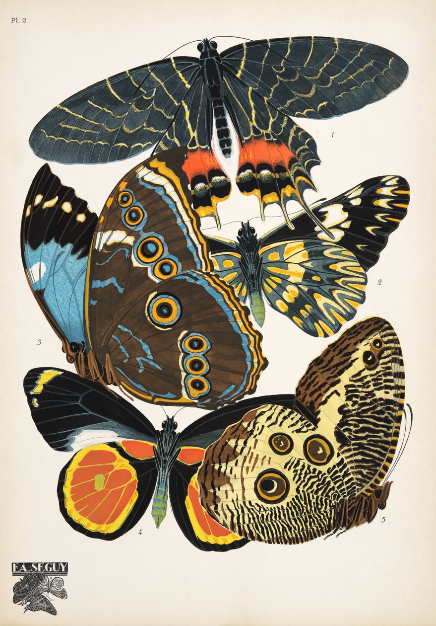 图 2，来自 Butterflies，酒吧。 1925 年（模板印刷） 作者 埃米尔·阿兰·塞盖
