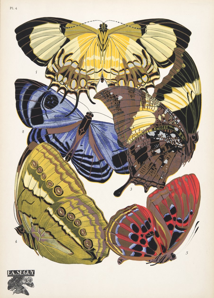 插图 4，选自《Papillons》，1925 年出版（pochoir 版画）。1925 年（pochoir 印刷品） 作者 埃米尔·阿兰·塞盖