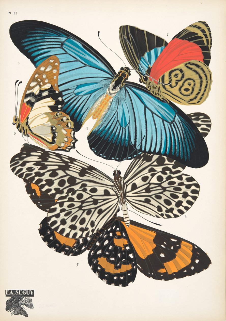 第 11 版，来自 Butterflies，酒吧。 1925 年（模板印刷） 作者 埃米尔·阿兰·塞盖