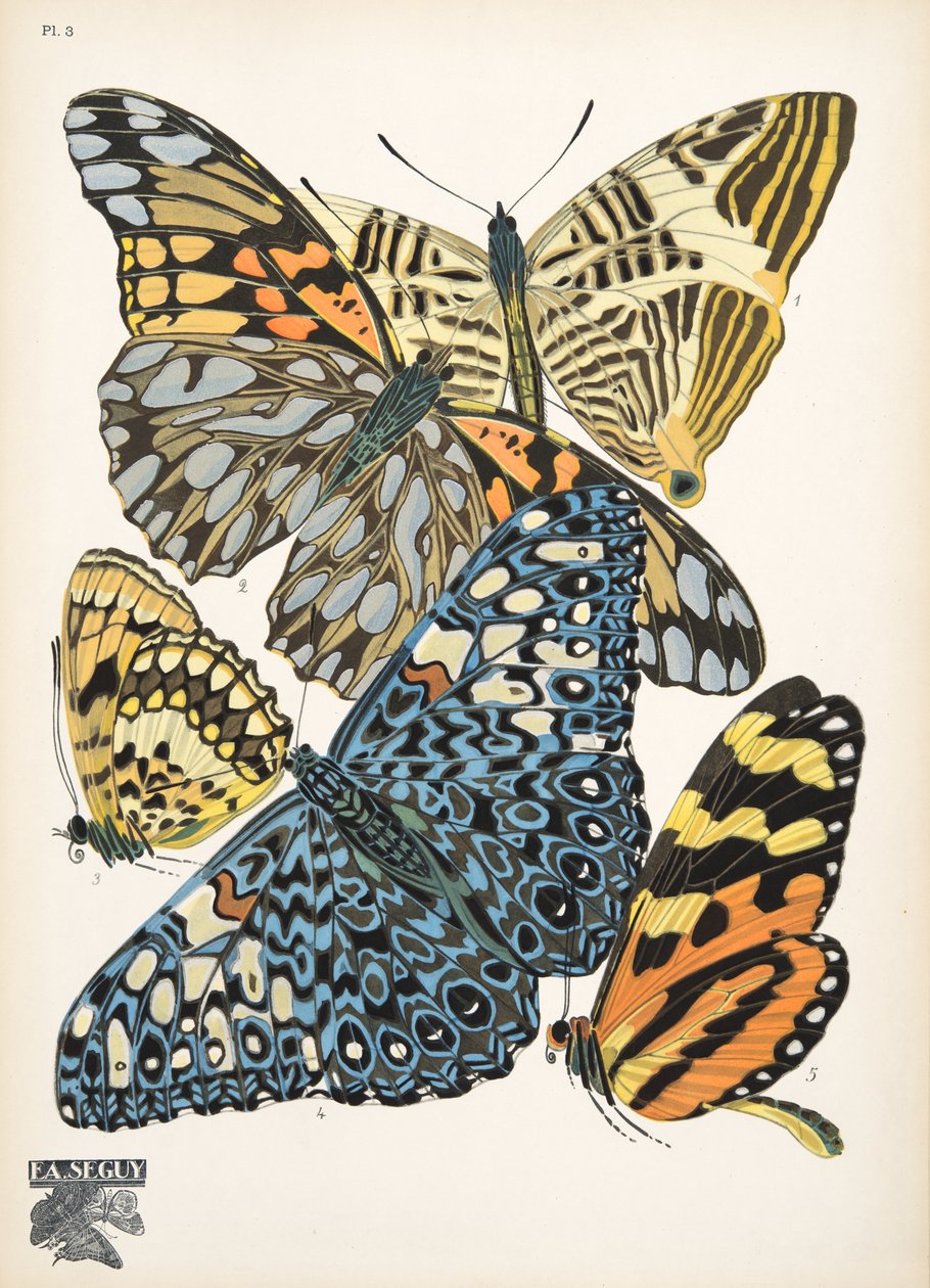 插图 3，选自《Papillons》，1925 年出版（pochoir 版画）。1925 年（pochoir 印刷品） 作者 埃米尔·阿兰·塞盖
