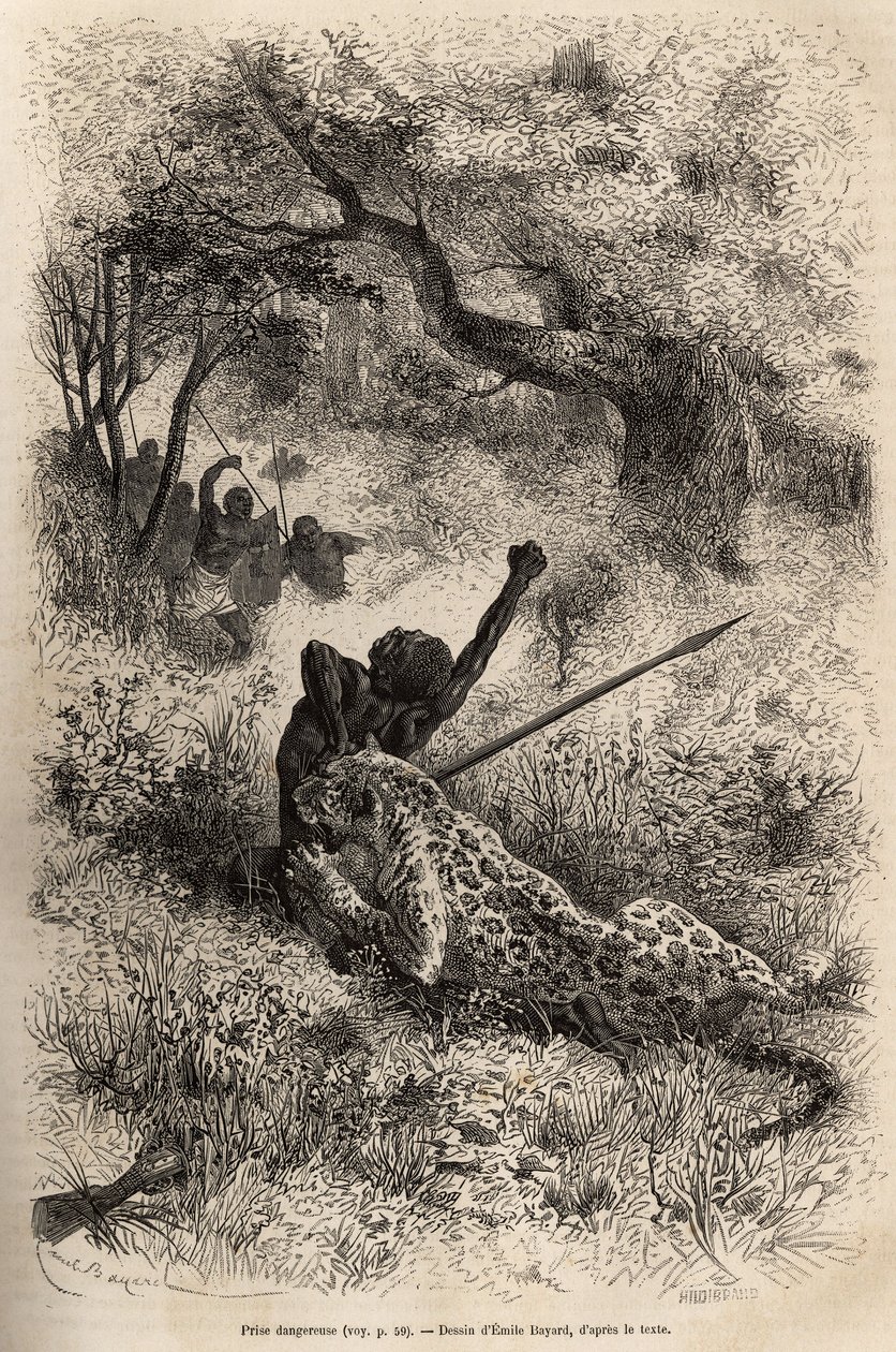 A leopard leaps on a man and bites him cruelly on his back, in the vicinity of Bambare (Congo), engraving after a drawing by Emile Bayard, illustrating David Livingstone