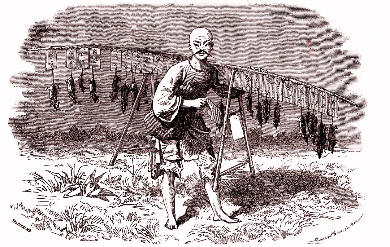 中国的老鼠杀手。 1874年（雕刻） 作者 埃米尔·安托万·贝亚德