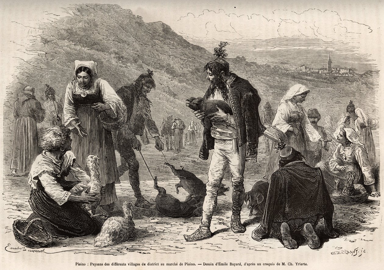The peasants in the vicinity of Pisino (Croatia), gather for the sale of their farm products on the market: poultry, piglets..., engraving after a drawing by Emile Bayard illustrating the journey in Istria and Dalmatia, in 1874, by Charles Yriarte, publish 作者 埃米尔·安托万·贝亚德