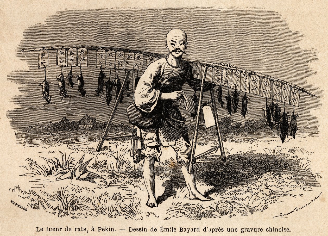 北京的老鼠杀手。埃米尔-巴亚尔（1837-1891）绘制的图画，用于说明1859年至1862年法国驻华公使德-布尔隆先生从上海到莫斯科的旅程。爱德华-沙尔东编辑的《世界之旅》中的版画 作者 埃米尔·安托万·贝亚德