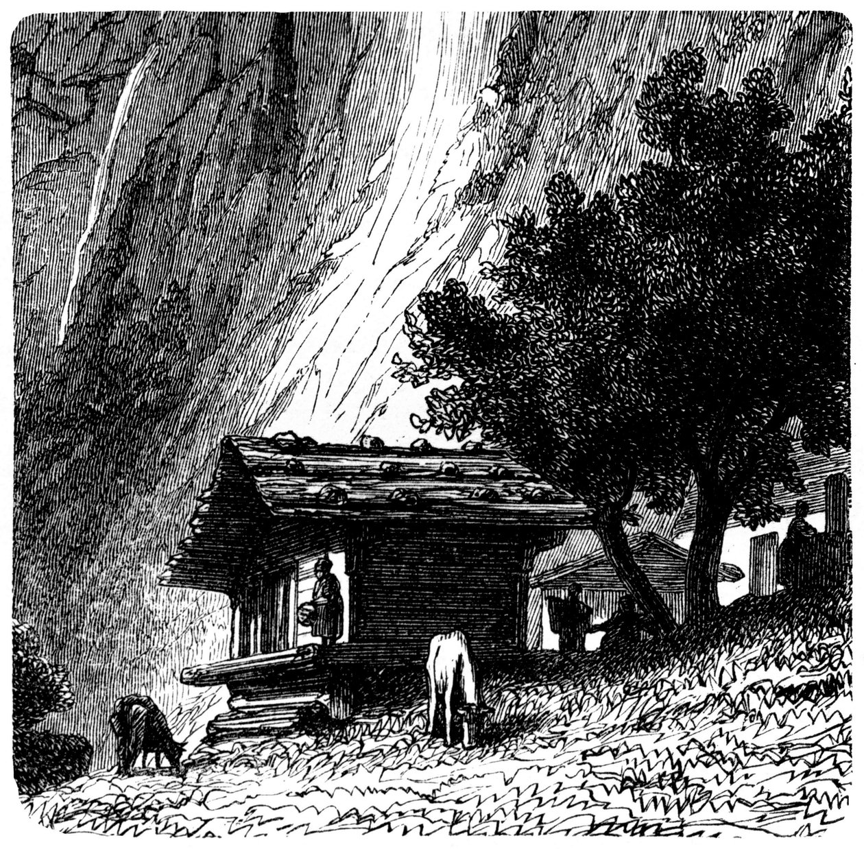 View of the Alps: old chalet at the foot of a cliff with cows grazing (pasture). Illustration by Emile Bayard (detail) for the book Les Montagnes d