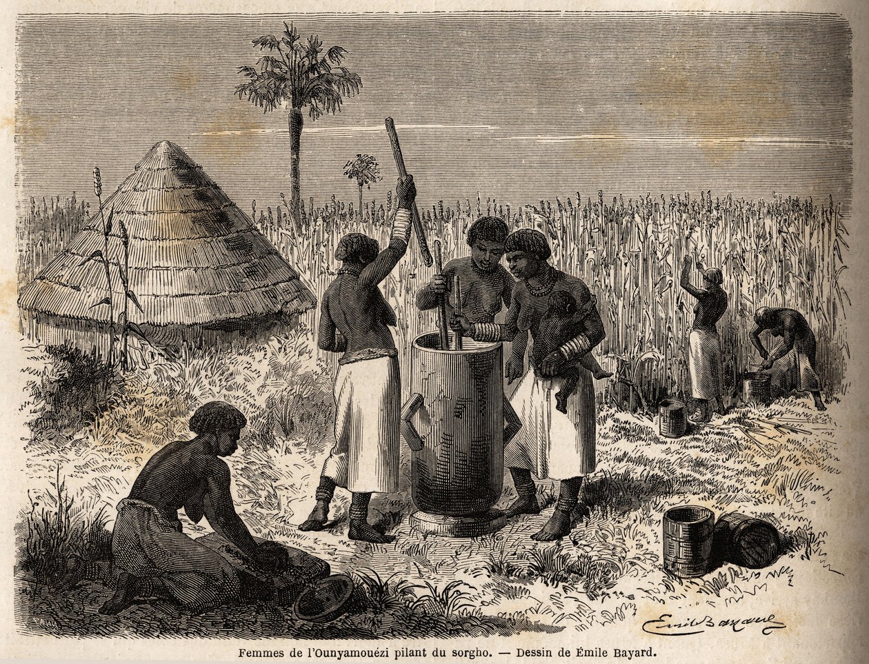 妇女在 ounyamouezi（非洲大湖区）敲击高粱，埃米尔·贝亚德（Emile Bayard，1837-1891 年）绘制，描绘了斯皮克船长 1860 年至 1863 年在非洲的发现之旅。版画“Le tour du monde”，编辑 作者：爱德华·查顿 作者 埃米尔·安托万·贝亚德