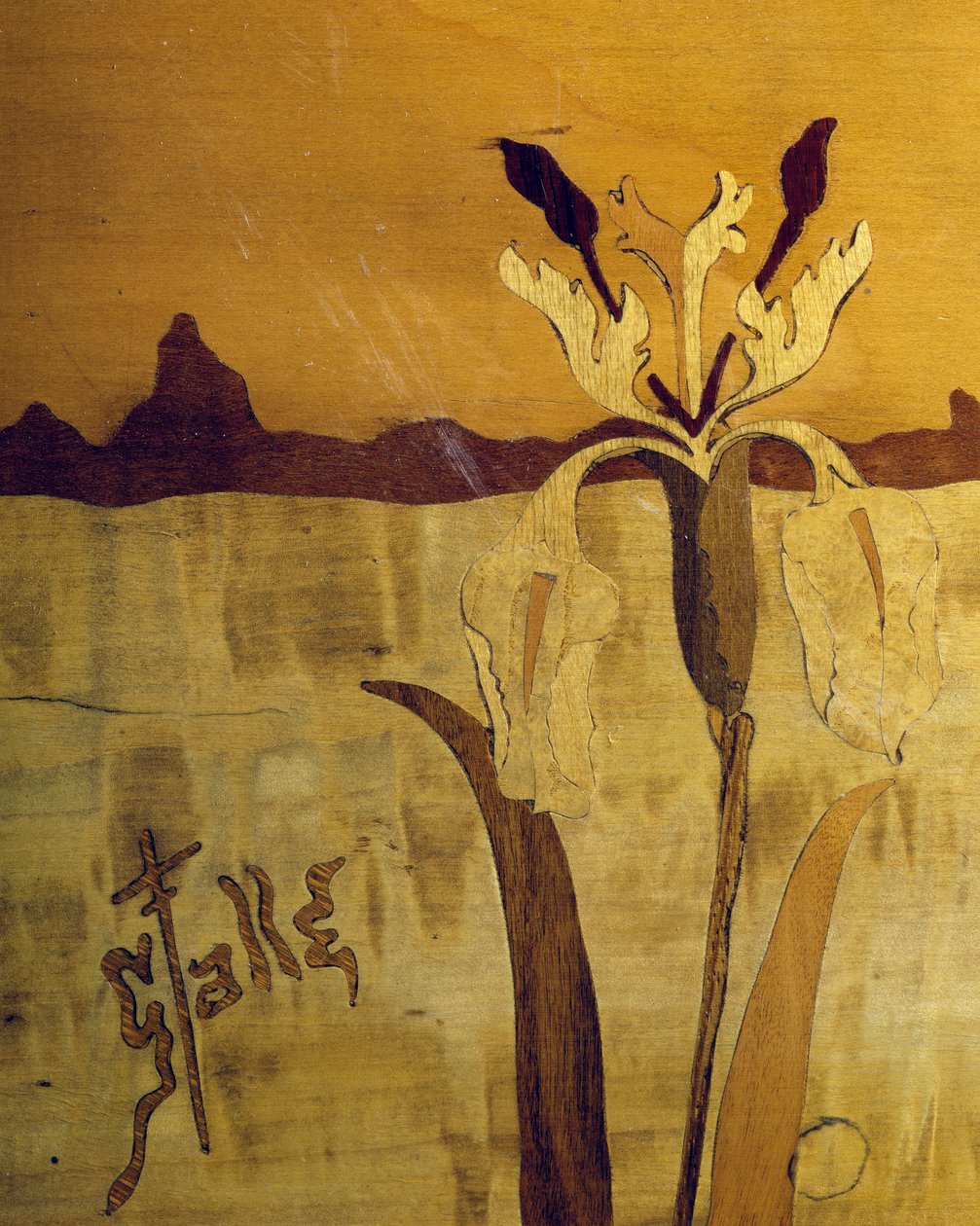 新艺术运动风格的桌子，由 Emile Galle（1846-1904 年）设计，胡桃木饰面和各种木材，细节，法国，20 世纪 作者 埃米尔·加勒（Emile Galle）
