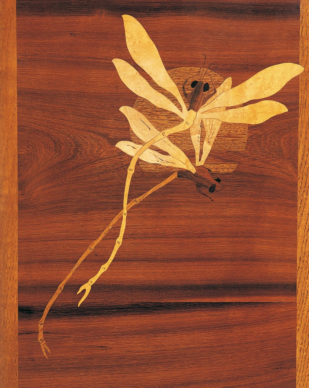 蜻蜓，新艺术风格橱柜的细节，约1900年，由Emile Galle（1846-1904），雕刻和镶嵌的胡桃木，法国，20世纪 作者 埃米尔·加勒（Emile Galle）