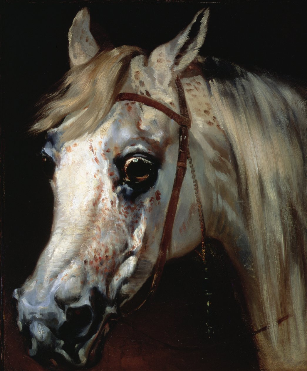 阿拉伯马的头，约1840-50（布面油画） 作者 埃米尔·让·霍勒斯·韦尔内